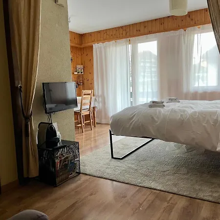 Studio, 2 Adultes , Centre De Apartment *