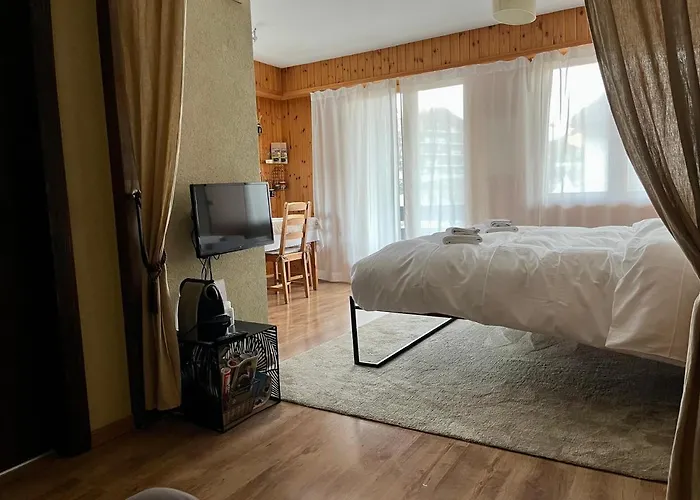 Studio, 2 Adultes , Centre De Daire *