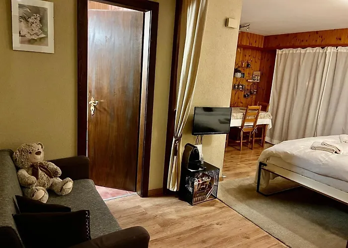 Studio, 2 Adultes , Centre De Appartement