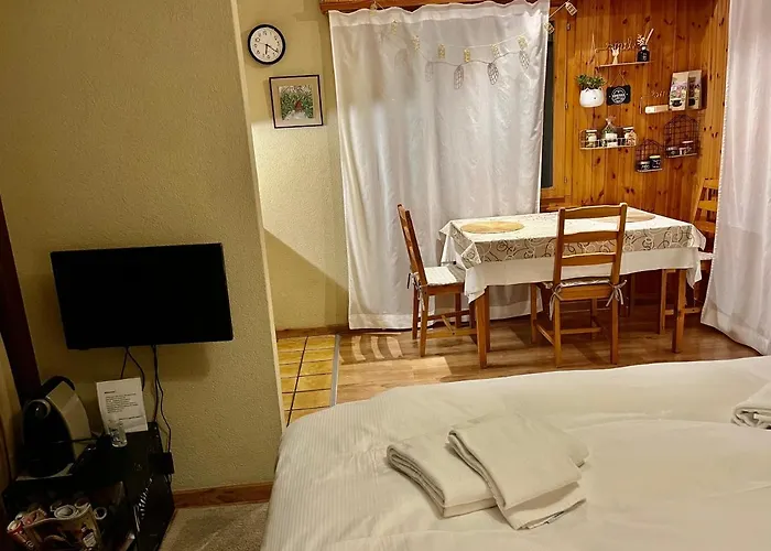 Daire Studio, 2 Adultes , Centre De *