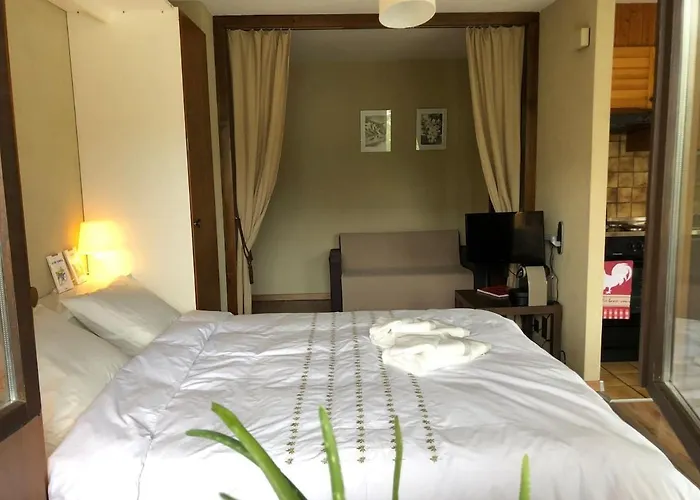 Studio, 2 Adultes , Centre De Appartement