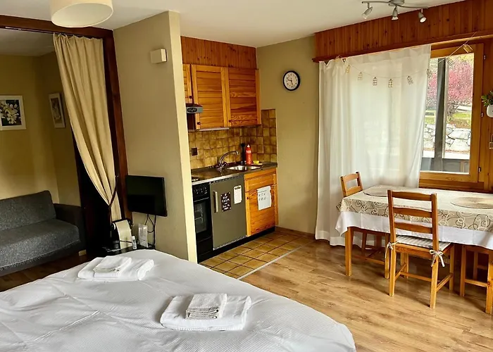 Studio, 2 Adultes , Centre De Lägenhet